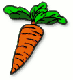 carrot_1
